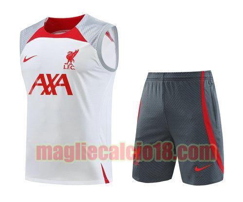 vest liverpool 2023-2024 a poco prezzo bianco grigio