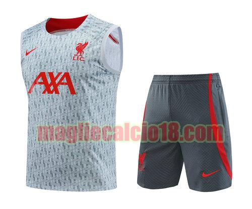 vest liverpool 2023-2024 a poco prezzo grigio